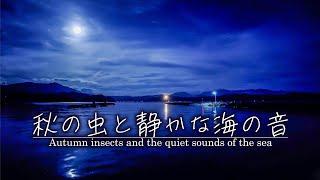 【BGM for restful sleep】Autumn insects and the quiet sound of the sea.