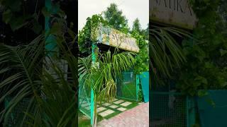 Saroj Vatika Nursery Mohali ( Part - || ) #nursery #plantslover #mohali #chandigarh #shorts