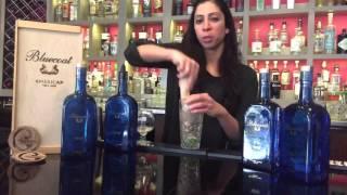 Bluecoat Gin Review Philadelphia Distilling