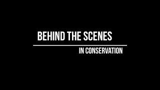 Behind the Scenes in Conservation