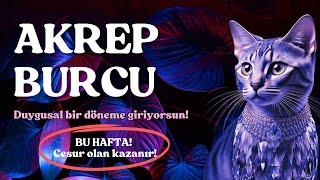 Akrep Burcu | Krizler ve Fırsatlar Bir Arada! Büyük Bir Güçlenme Dönemine Giriyorsun!