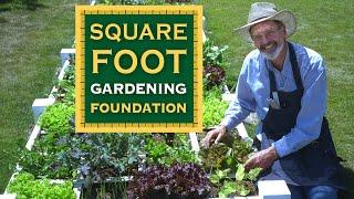 The Square Foot Gardening Foundation Mission - The Face Of Hunger