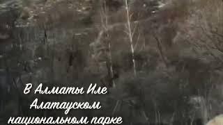 Каменный замок в Аксайском ущелье 2019 г . Stone castle