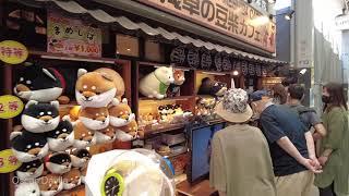 4K Walk in Shin Nakamise Shopping Street in Asakusa - Tokyo