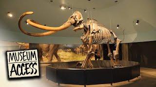 The La Brea Tar Pits and Museum in Los Angeles, CA | Museum Access (Full Episode)
