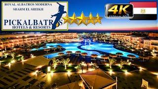 4K ROYAL ALBATROS MODERNA SHARM EL SHEIKH 2023 HOTEL НЕПЛОХАЯ ПЯТЕРКА GOOD BEACH RESORT EGYPT