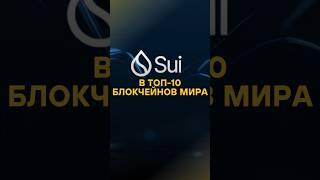 SUI — новый лидер блокчейнов! Сильная команда, маркет-мейкер и рост до ТОП-10! #Крипта #Бизнес