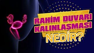 Rahim Duvarı Kalınlaşması Nedir? Ameliyatı ve Tedavisi Nasıl Yapılır? - Prof. Dr. Gamze Sinem