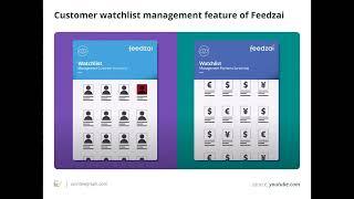 What is Feedzai, and how is it used to detect financial fraud?