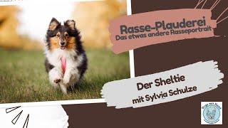 Rasse-Plauderei über den Sheltie mit Sylvia Schulze