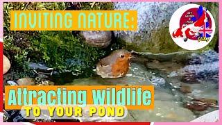 Attracting wildlife to your pond