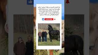 أضخم حصان في العالم #قصص #قصص_واقعية #اكسبلور #عجائب #غرائب #حصان #خيول #خيل #حيوانات #ضخم #كبير