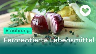 Gesünder und fitter mit fermentierten Lebensmitteln