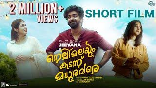 Nellimalayum Kadannu Madhura Vare | Malayalam Short Film | Swathy Manu