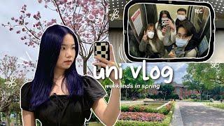 uni vlog  | National Taiwan University (NTU)