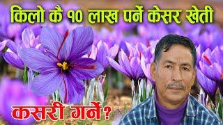 औषधीय गुण भएको केसरको खेती, मूल्य किलो कै १० लाख रुपैयाँ ! │Kesar Farming  │ Nepal Chitra