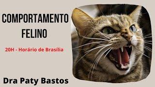 Comportamento Felino | Dra Paty Bastos