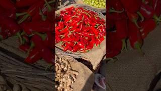 Pure red colour chilly