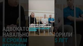 Адвокатов Навального приговорили к срокам до 5,5 лет колонии