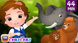 Going To the Forest | Wild Animals for Kids and More Learning Songs & Nursery Rhymes by ChuChu TV