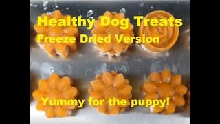 Healthy Dog Treats - Freeze Dried