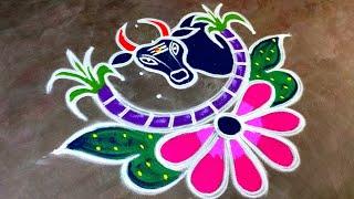 New maatu pongal kolam/5*1 sankaranti Basavanna muggulu /Thaipongal maadu kolam /Amazing rangoli