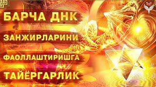 ОНГНИНГ ЮҚОРИ ҚАТЛАМЛАРИГА АСТА-СЕКИН, БОСҚИЧМА-БОСҚИЧ ЎТИШИ ЖУДА МУХИМ | САПФИРИЯ МУШТАРИЙ ЮЛДАШЕВА