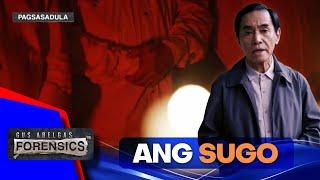 Forensics | Ang Sugo