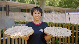 狗乐园妙趣横生，饺子是我们的，鸡蛋全是狗的\The dog park is full of fun things, dumplings are ours, and eggs are all dogs'