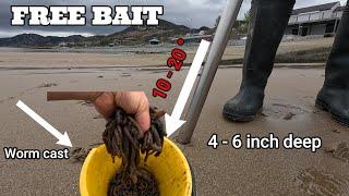 HOW TO PUMP BLOWLUG WORM | BEST ALL ROUND BAIT ? | MASTERFISHERMAN | SEA FISHNG UK