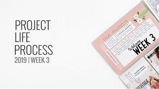 Project Life Process Video 2019 | WEEK 3 Feed Your Craft Around The House Kit