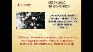 3 часть.  Экскурсия по моему участку с хранителем гербария академии им.  К. А.  Тимирязева.