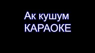 Ильяз Абдразаков - Ак кушум - Караоке