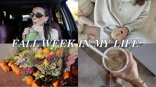 FALL WEEK IN MY LIFE: cozy Aerie try on, mini grocery haul, becoming a coffee lover + lasagna soup 