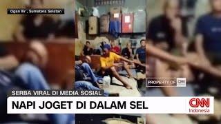 Viral Napi Joget dalam Sel