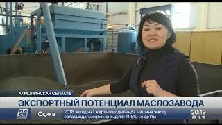 В Акмолинской области запущен завод по производству растительного масла