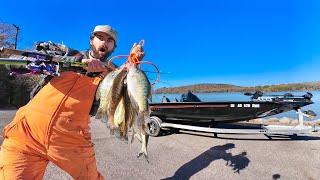 Loading The Boat w/ THICK River SLABS!!!! These Baits Are IRRESISTIBLE to Fall Crappie!!!