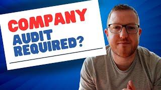 Do Irish Companies Need to be Audited? These Companies Are Exempt