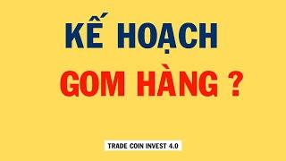 KẾ HOẠCH GOM HÀNG ? | Phân Tích Bitcoin Hôm Nay Và Cập Nhật Thị Trường Crypto 31/01/2024