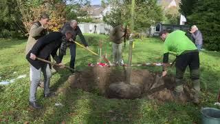 Jubiläumsbäume für Arlesheim - Birsstadt-TV Arlesheim