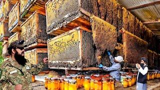 برای اولین بار در تاریخ بزرگترین صادرات جهانی افغانستان Afghanistan's largest honey producer