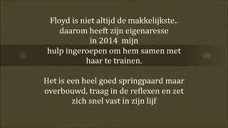 Floyd handwerk Academische rijkunst