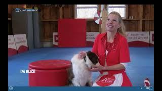 RheinmainTV DogDancing 2024. Anneke & Sofina