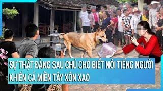 Sự thật đằng sau chú chó biết nói tiếng người khiến cả miền Tây xôn xao