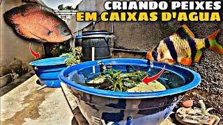 SISTEMA DE CAIXAS D'ÁGUA PARA PEIXES ORNAMENTAIS