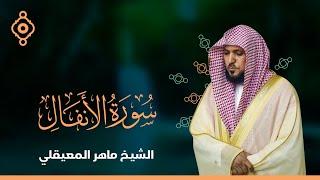 Surah Al-Anfal Maher Al Muaqily-سورة الأنفال  ماهر المعيقلي