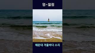 해운대 바닷가에서 멍~힐링ㅣ파도소리ㅣ겨울바다 #shorts