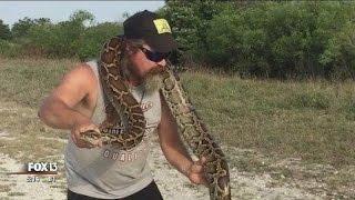 Florida's python hunters prepare for season