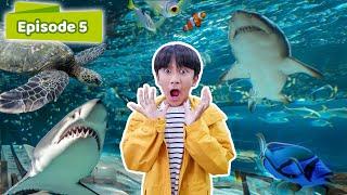 ZIYAN LIHAT IKAN-IKAN BESAR DI JAKARTA AQUARIUM - Belajar Bermain Seru Eps 6