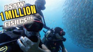 DO SCUBA DIVING ONLY IN KOH SAMUI!!!  (S1-EP18)